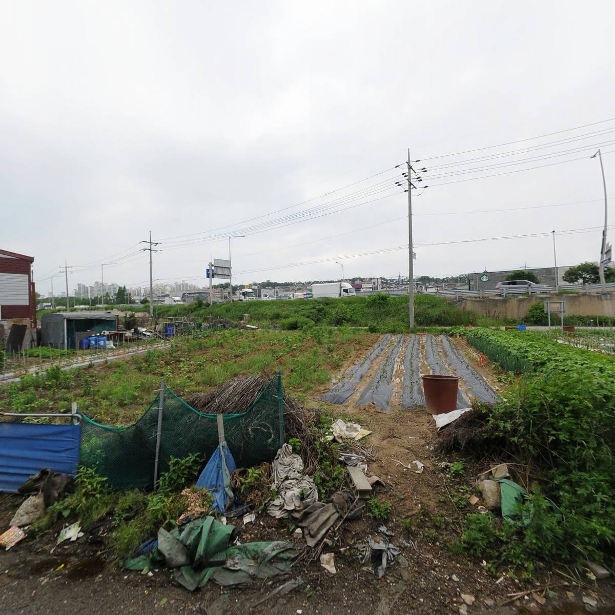 (주)선진여행사