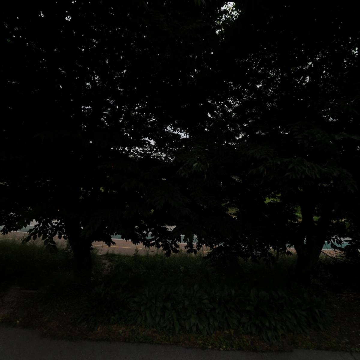 윈도우페인팅_3