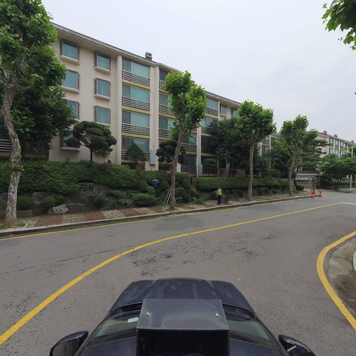 자연도감_4