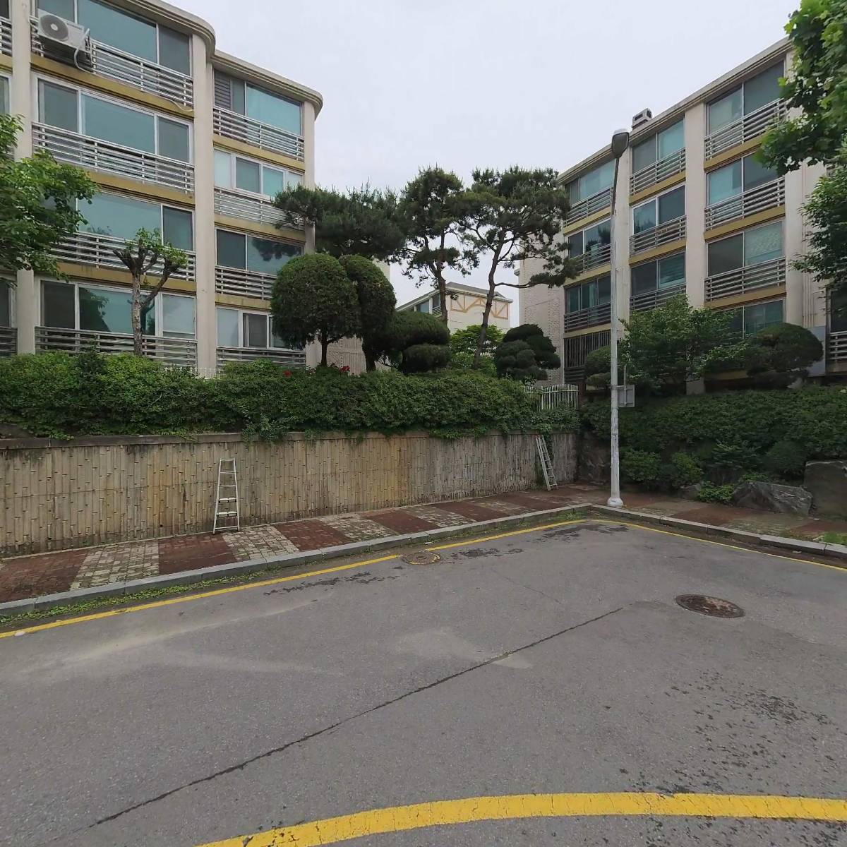 자연도감_3