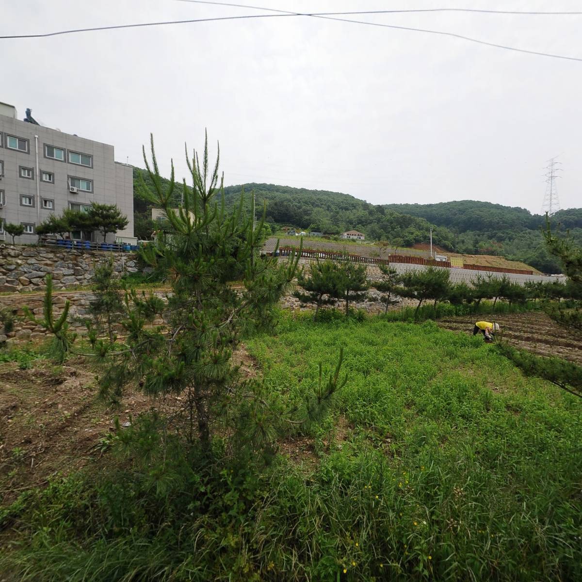 대화테크글로벌(주)