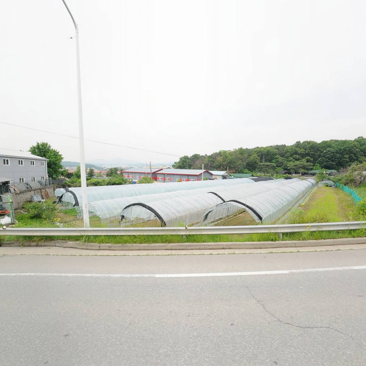 정진상사_3