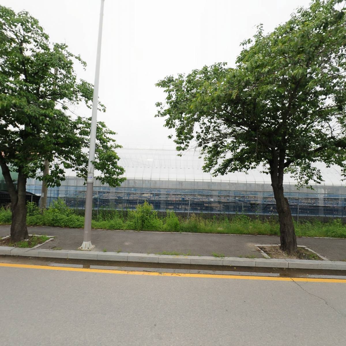 사능별다육