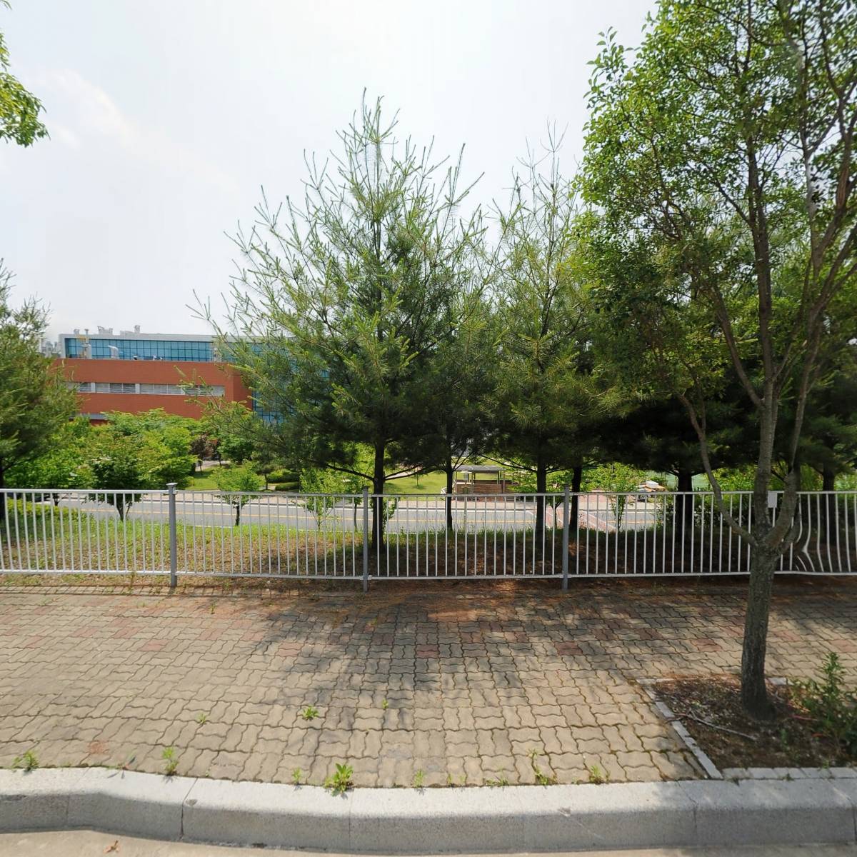 솔루디