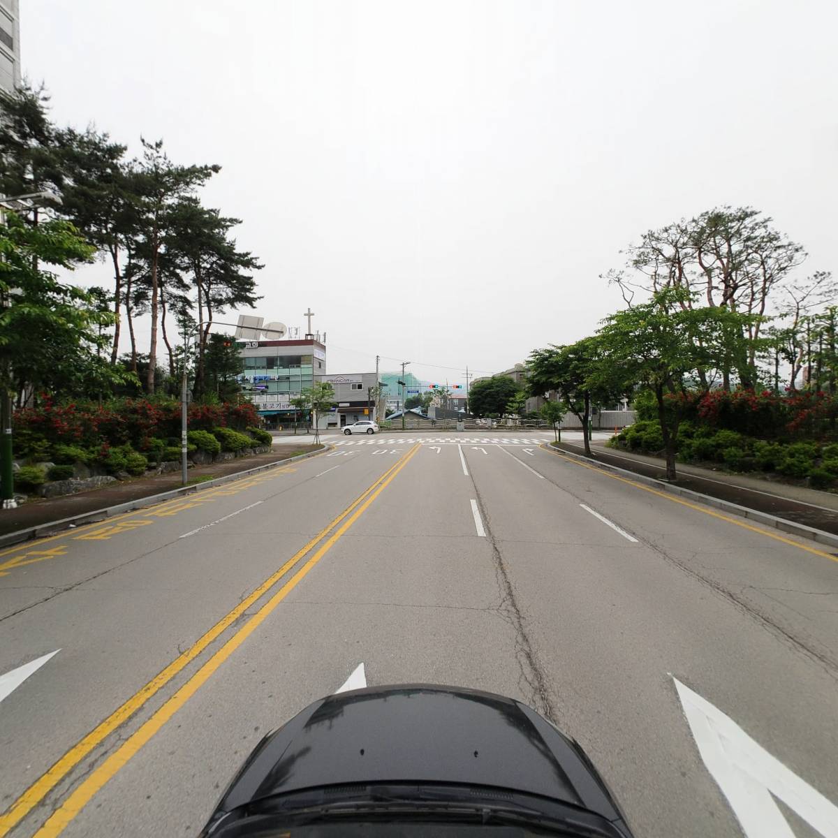 셔니퍼피_4
