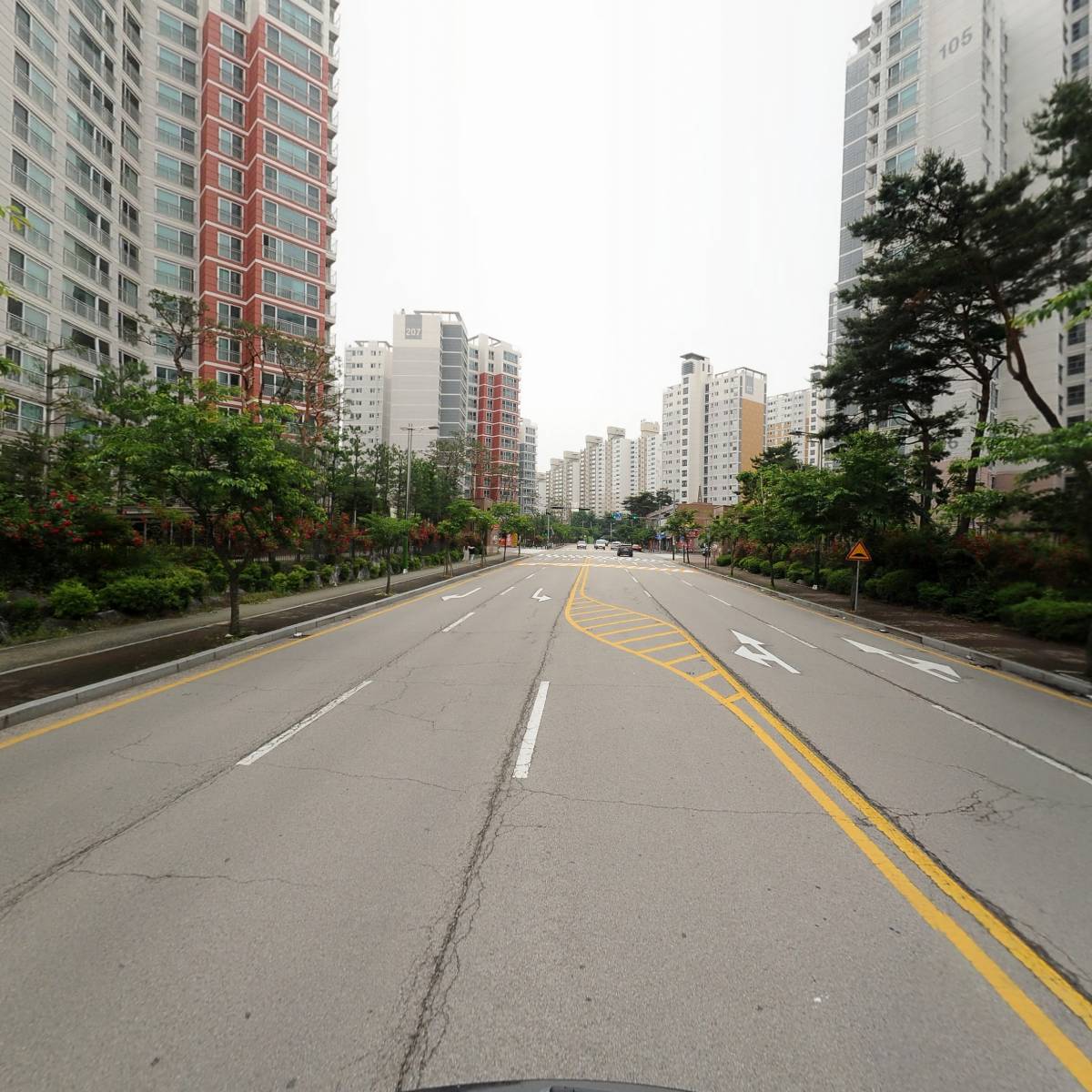 셔니퍼피_2