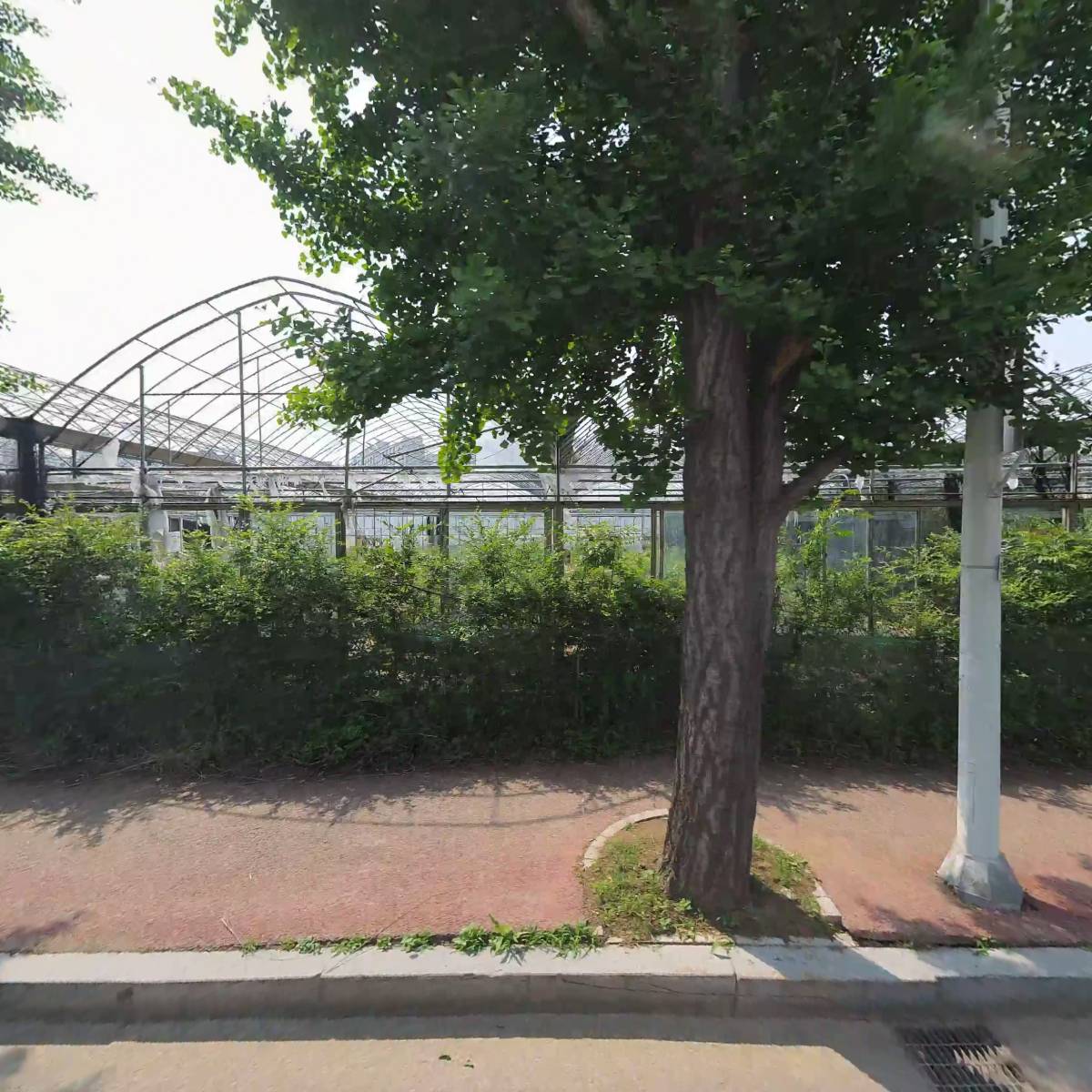 대하마트수산코너