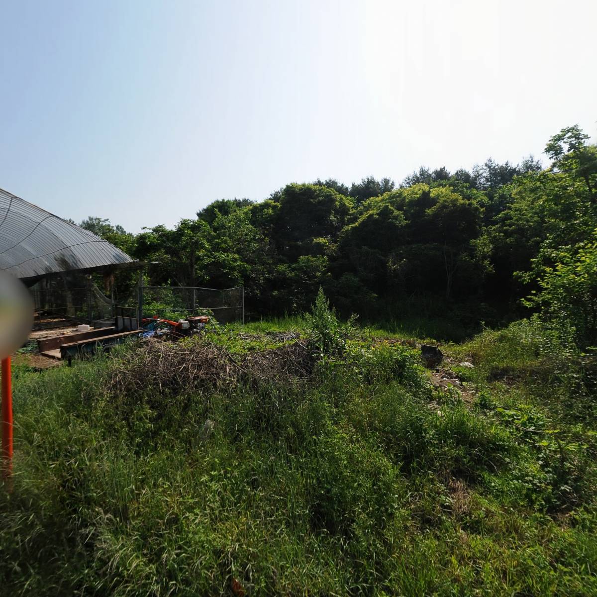(주)디에스티씨
