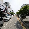 젠차이_2