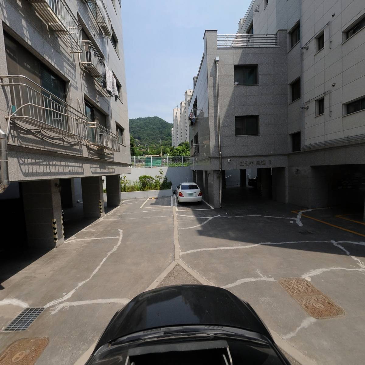 댕댕시장냥냥마트_4