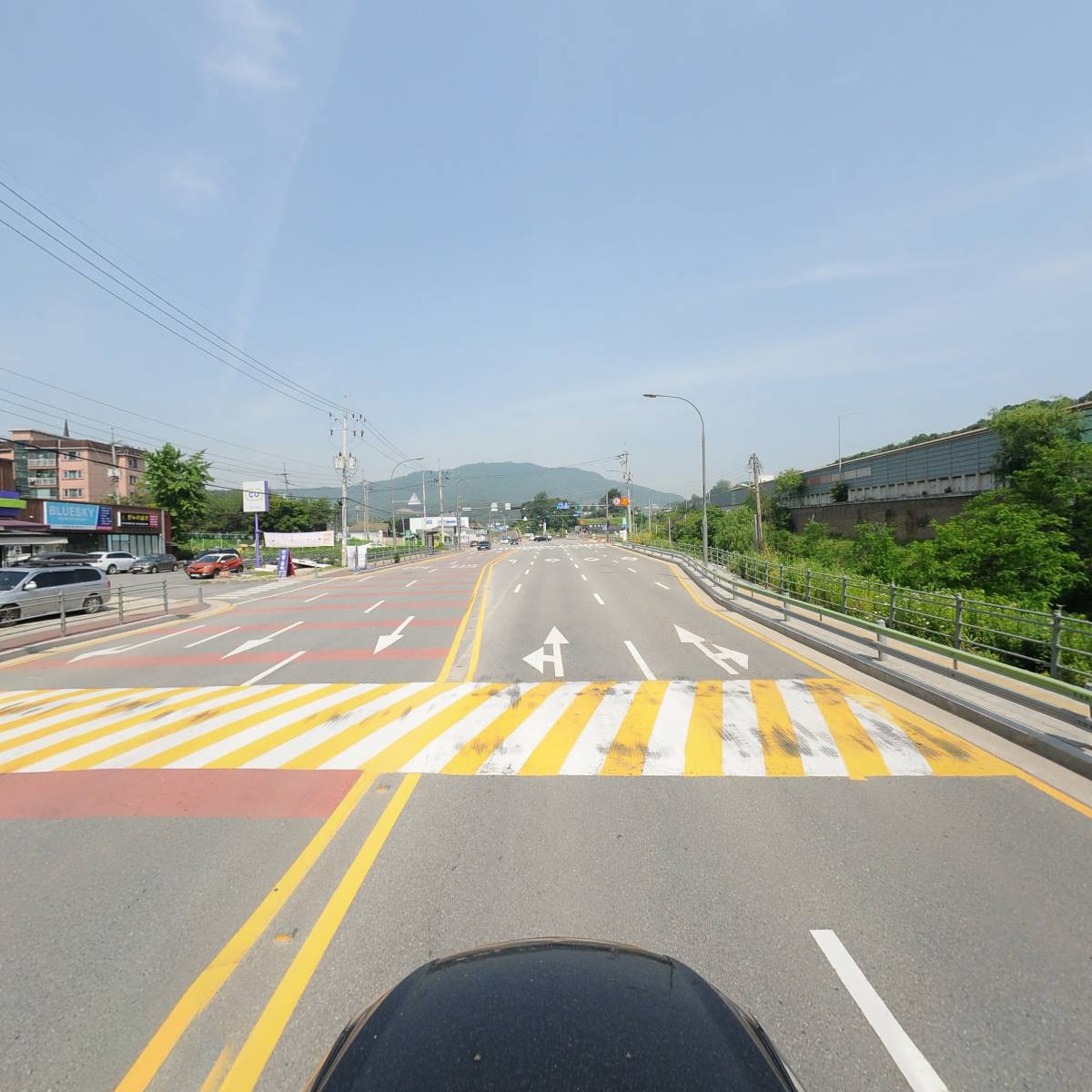 플리츠 독_4