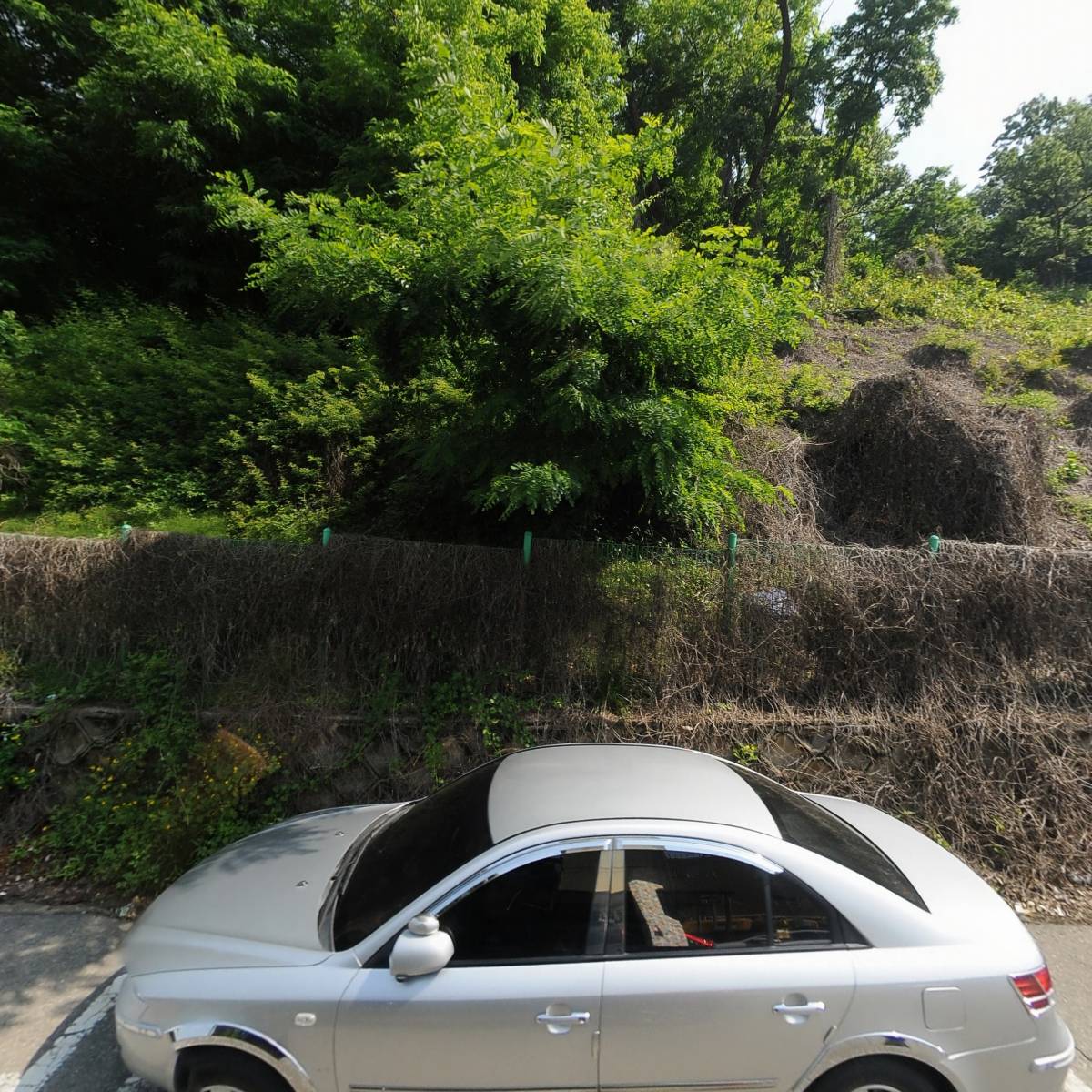 에스엠전자(주)