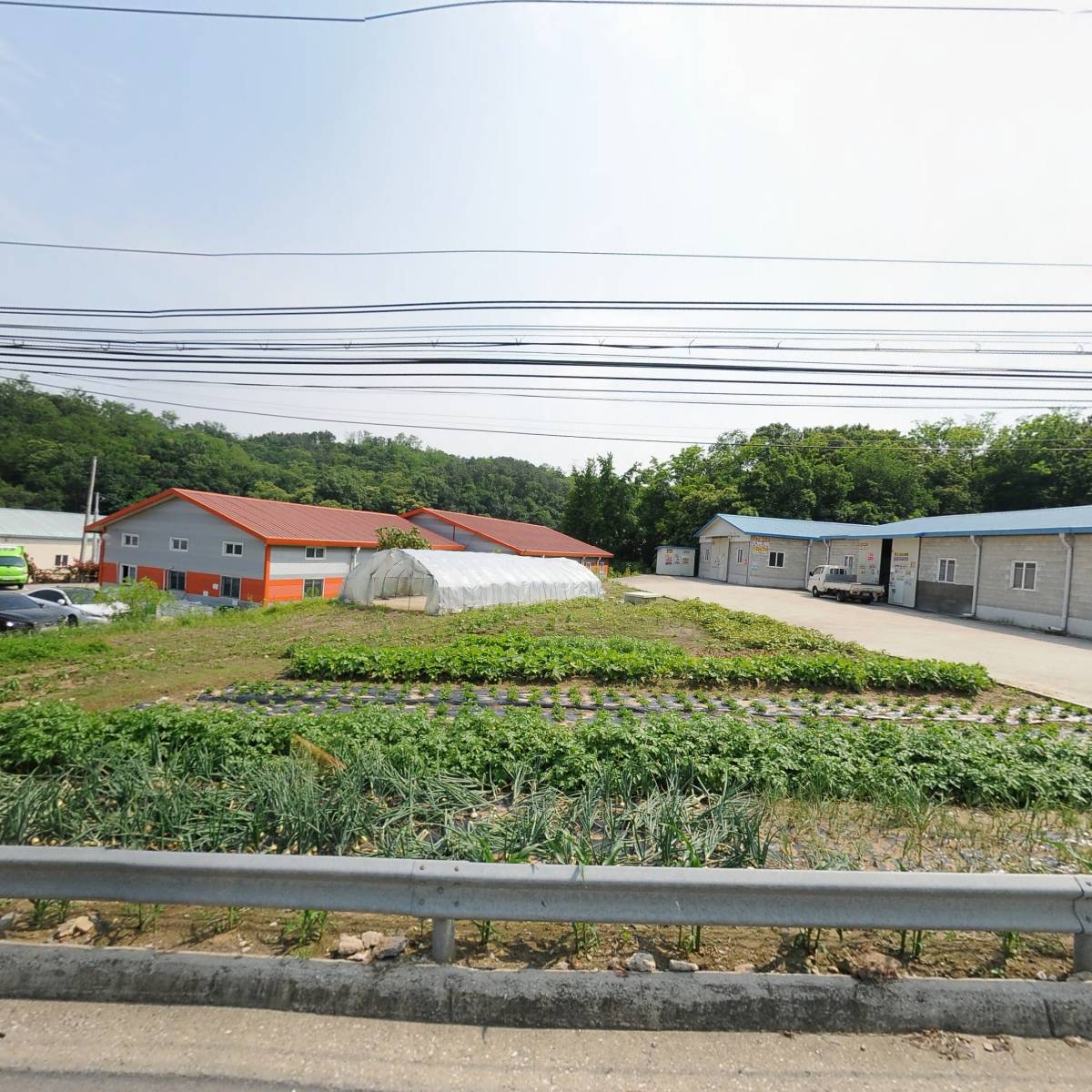 덤(순대국)&묵은지(돈) 두루치기