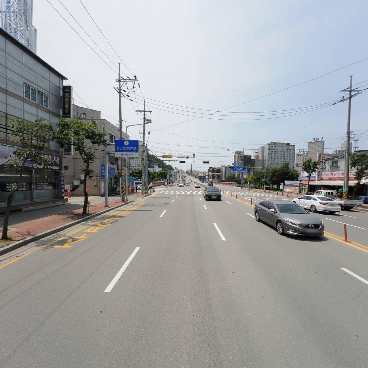 스마일동물병원_2