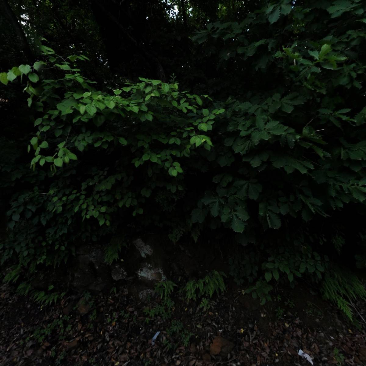 （주）비엠테크
