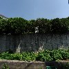 （주）유한컬렉션