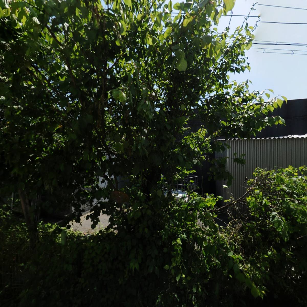 주식회사 나우스_3