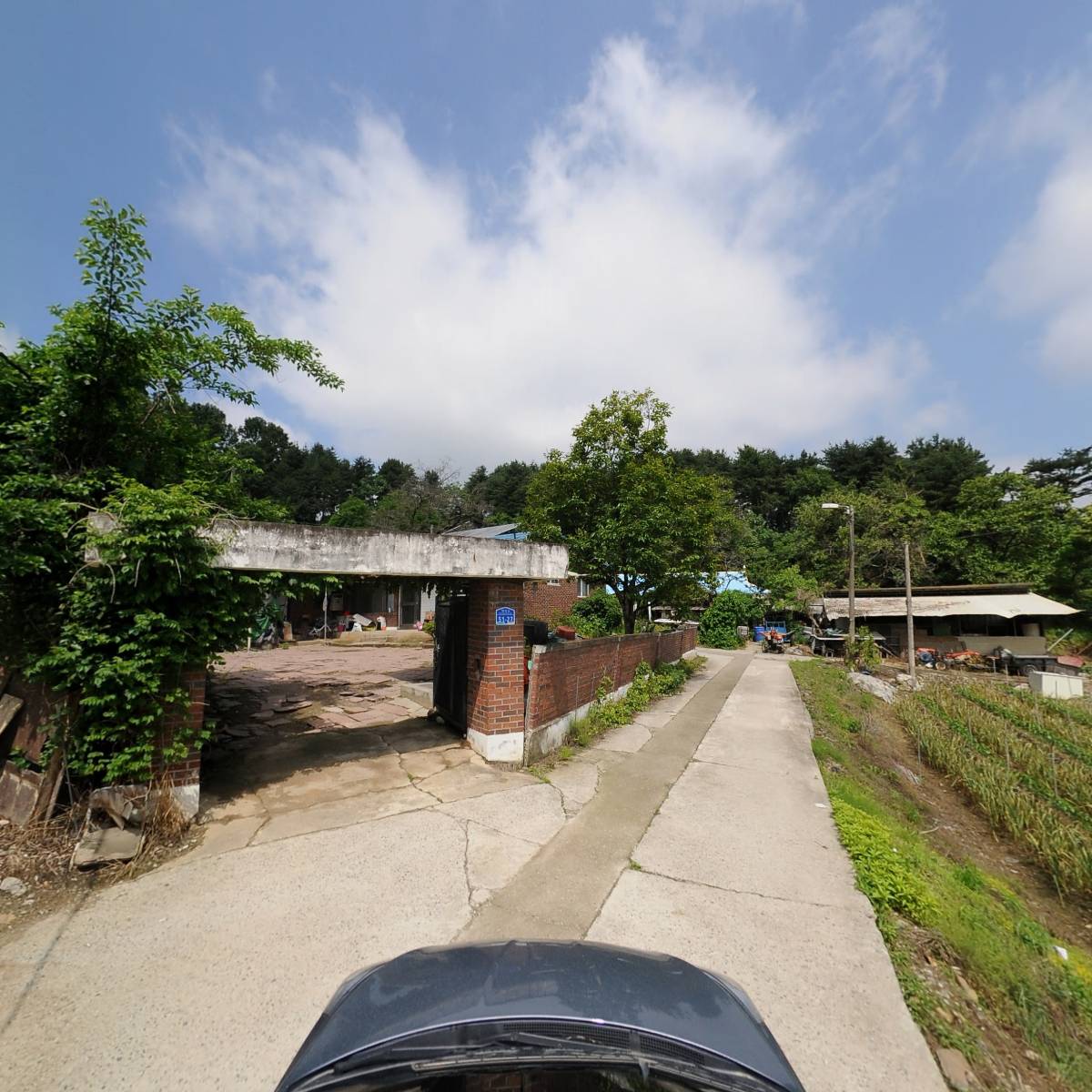 황토흙다오_4