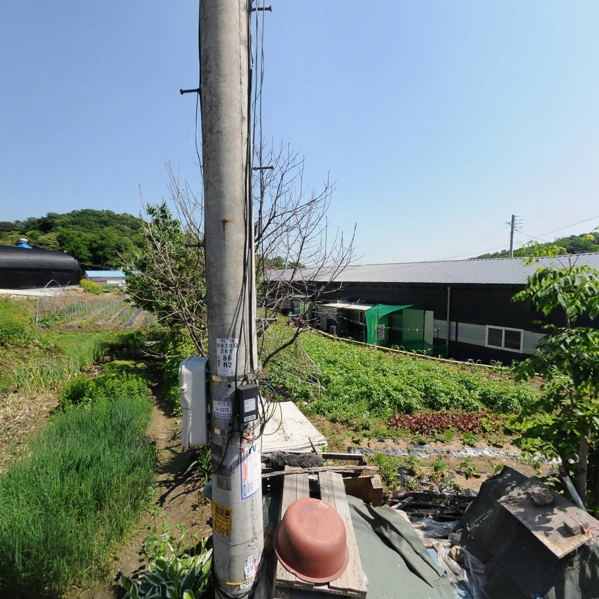 해오른