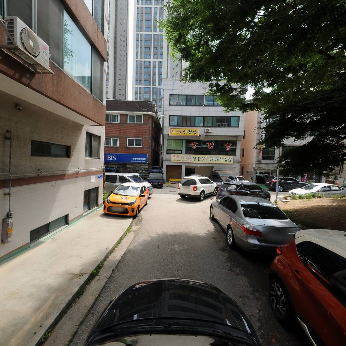 고래향기_4
