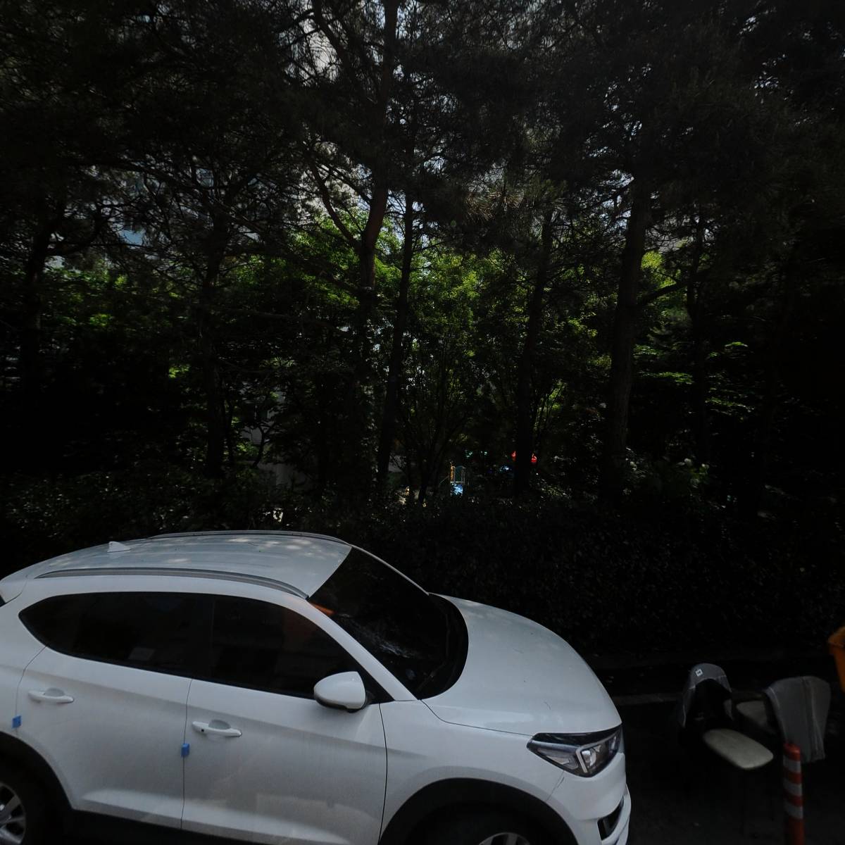 용인s바디짐