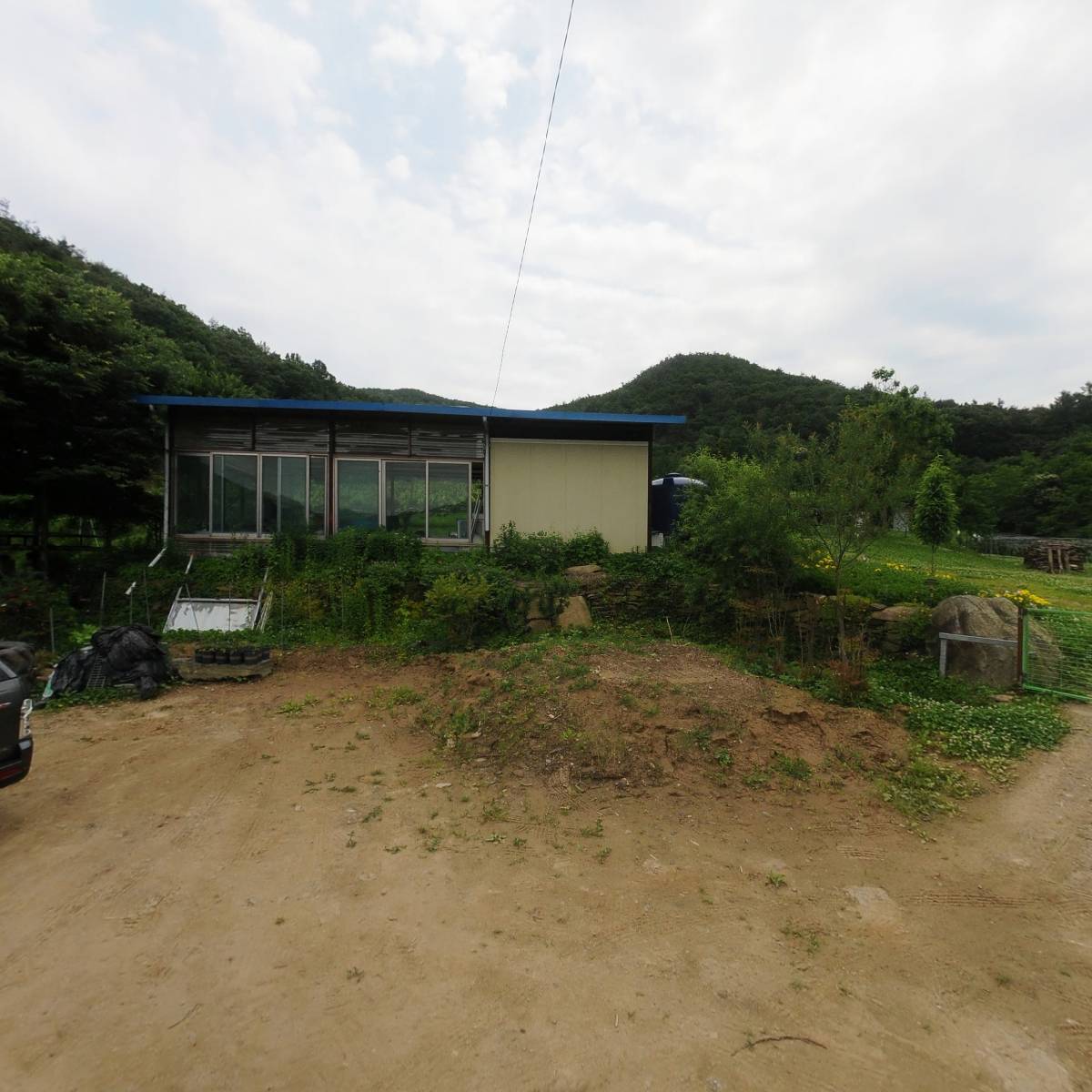 마쟁이 산골자두, 체리