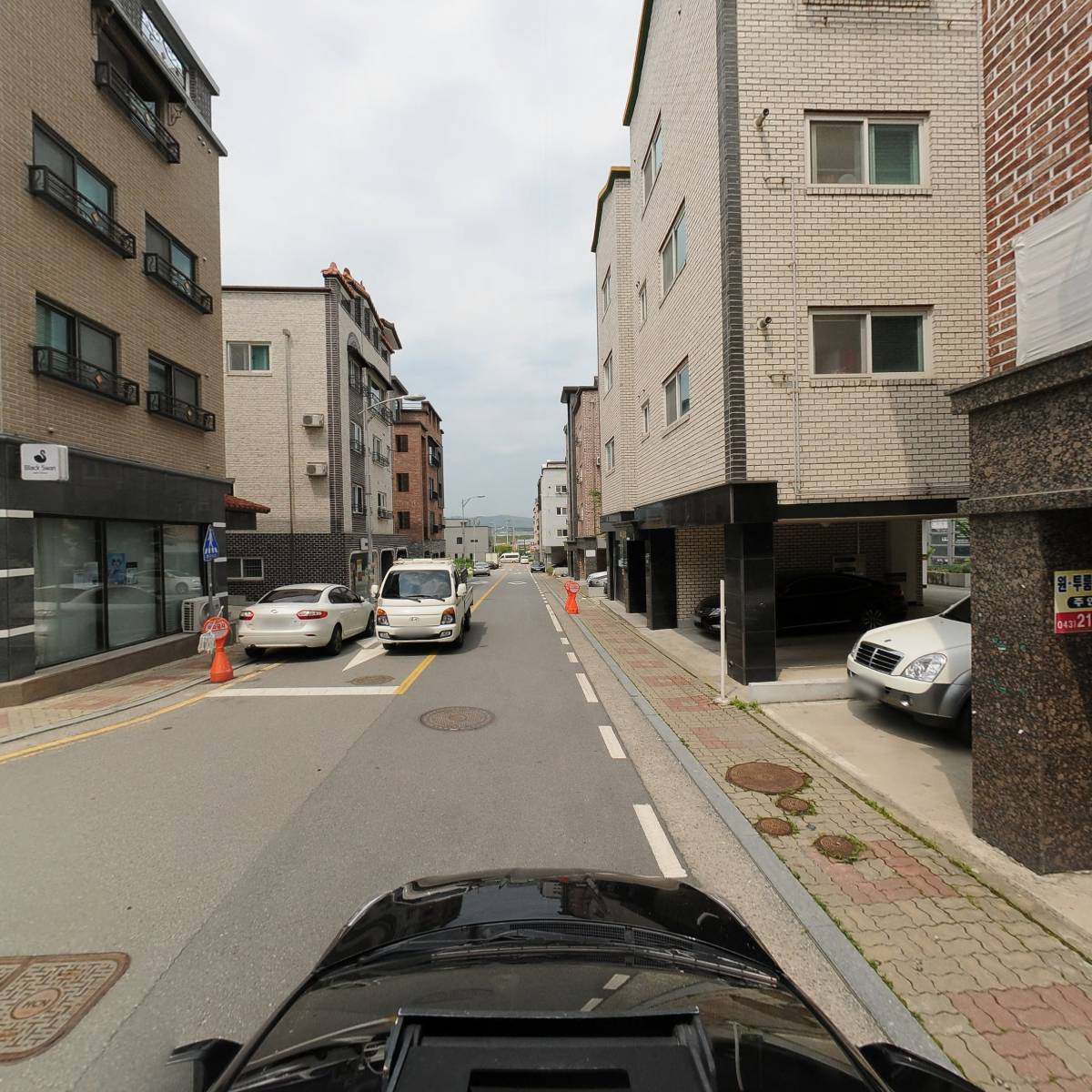 보사(Bosa)_4