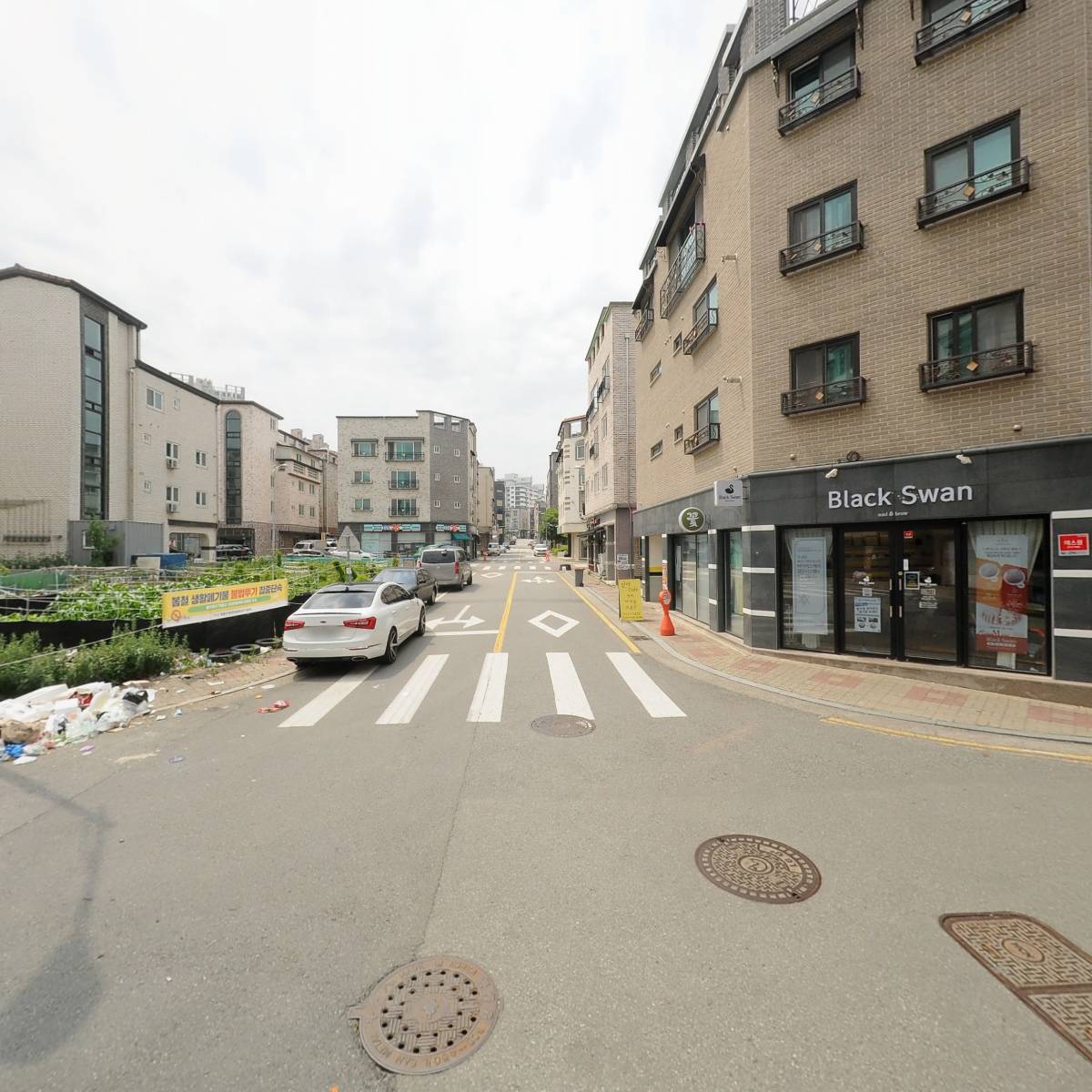 보사(Bosa)_3