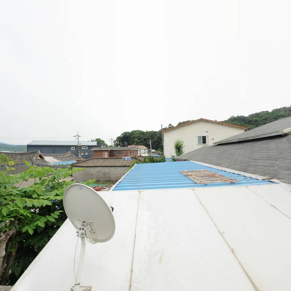 제칠일안식일예수재림교 풍양교회