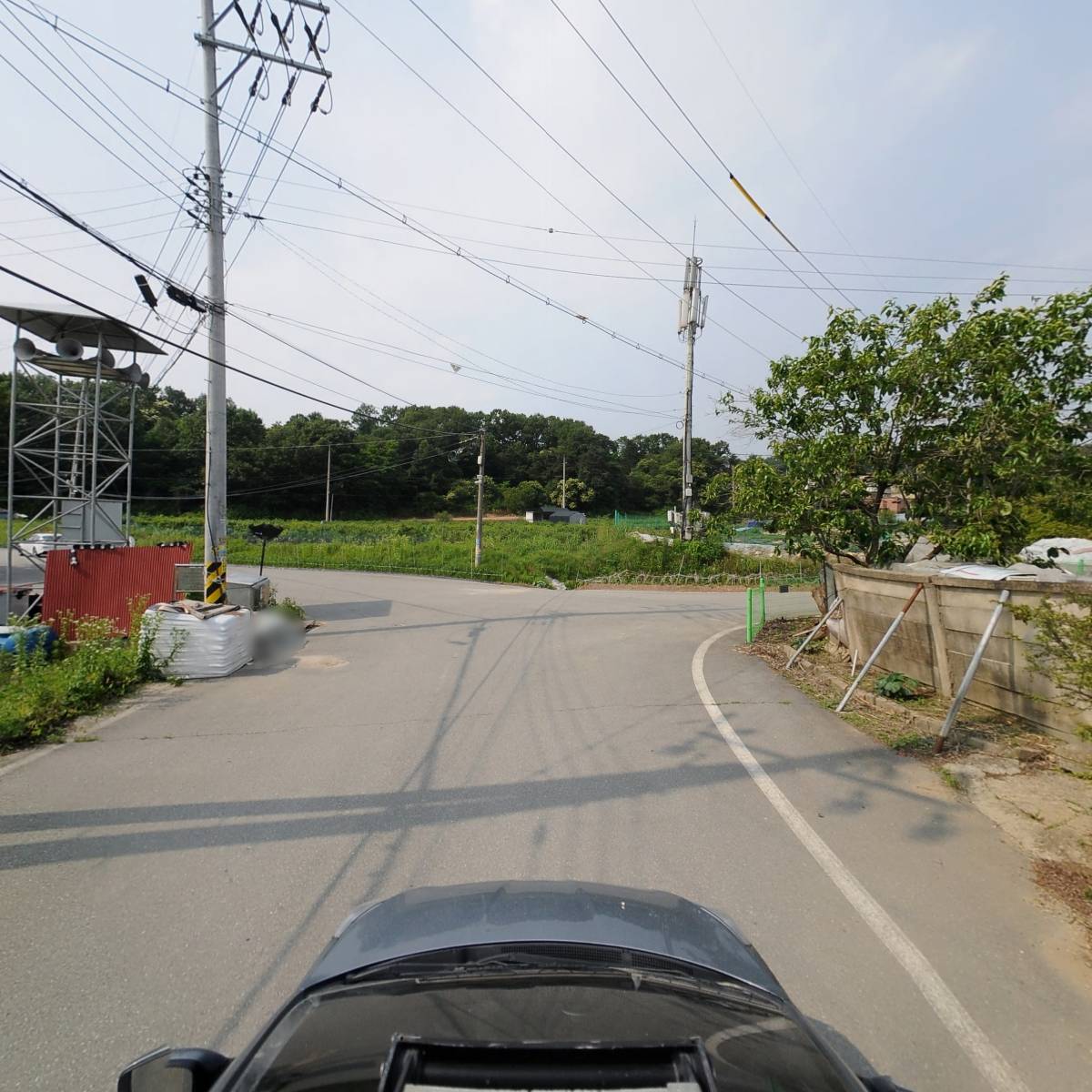 꿀꿀이와 횃불나라_4