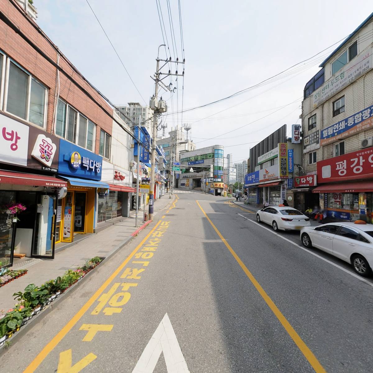 덕소동물병원_2
