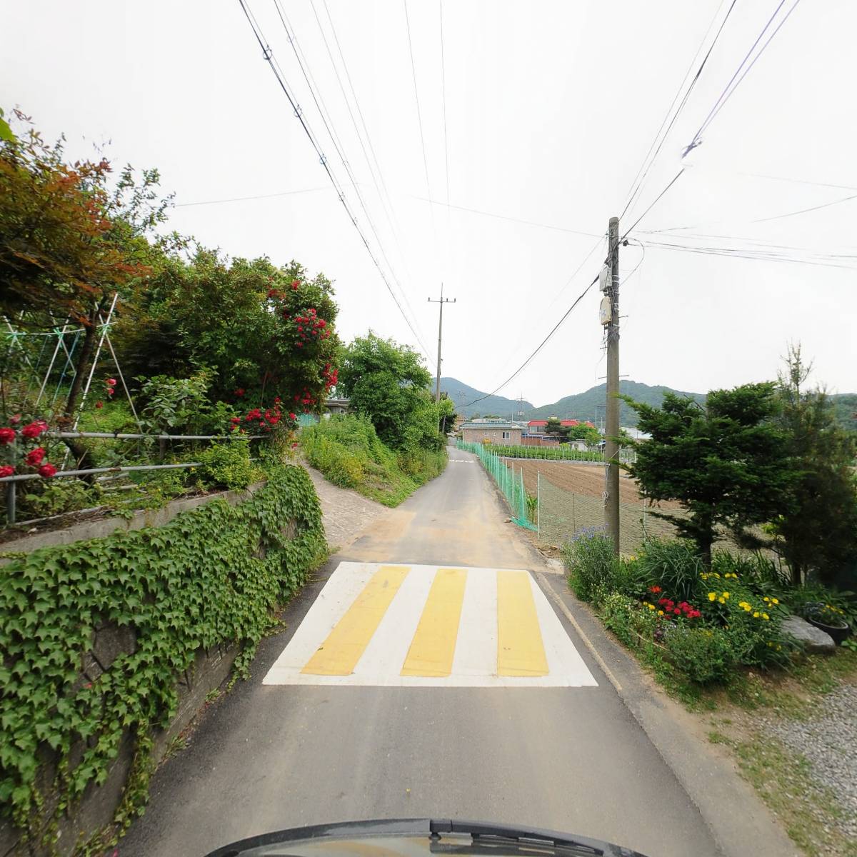 삼홍화학_2