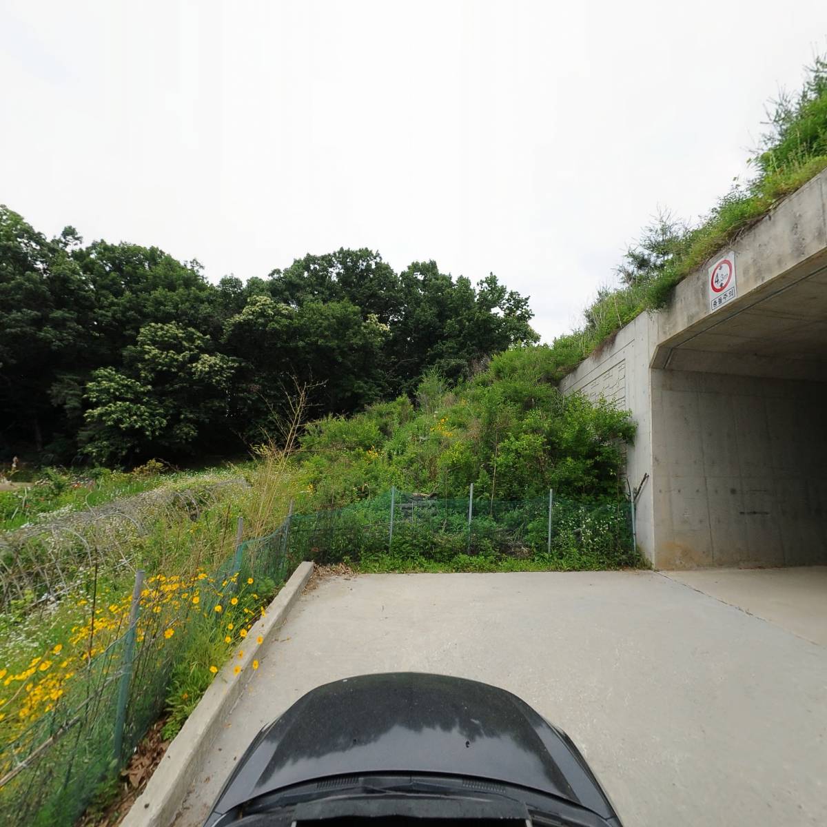 백합농원_4