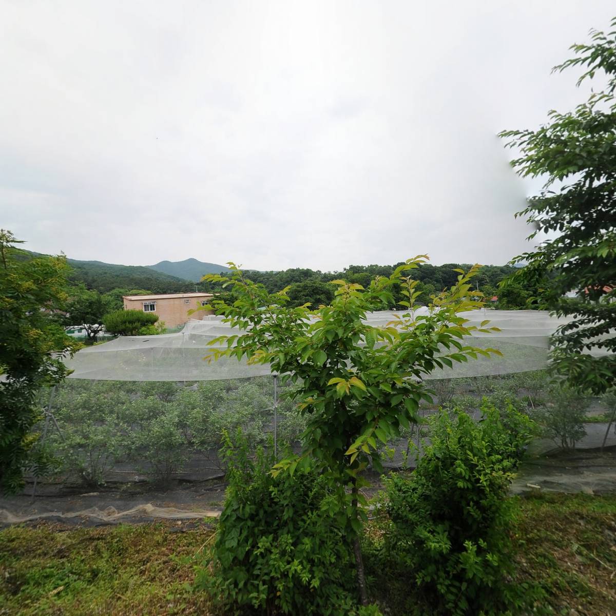 B&B조은익스프레스