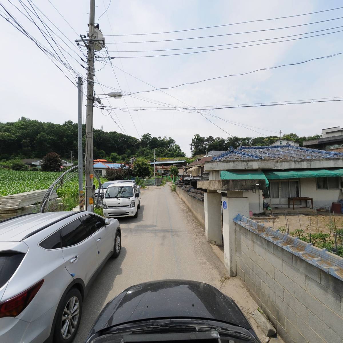 마리프랑스_4