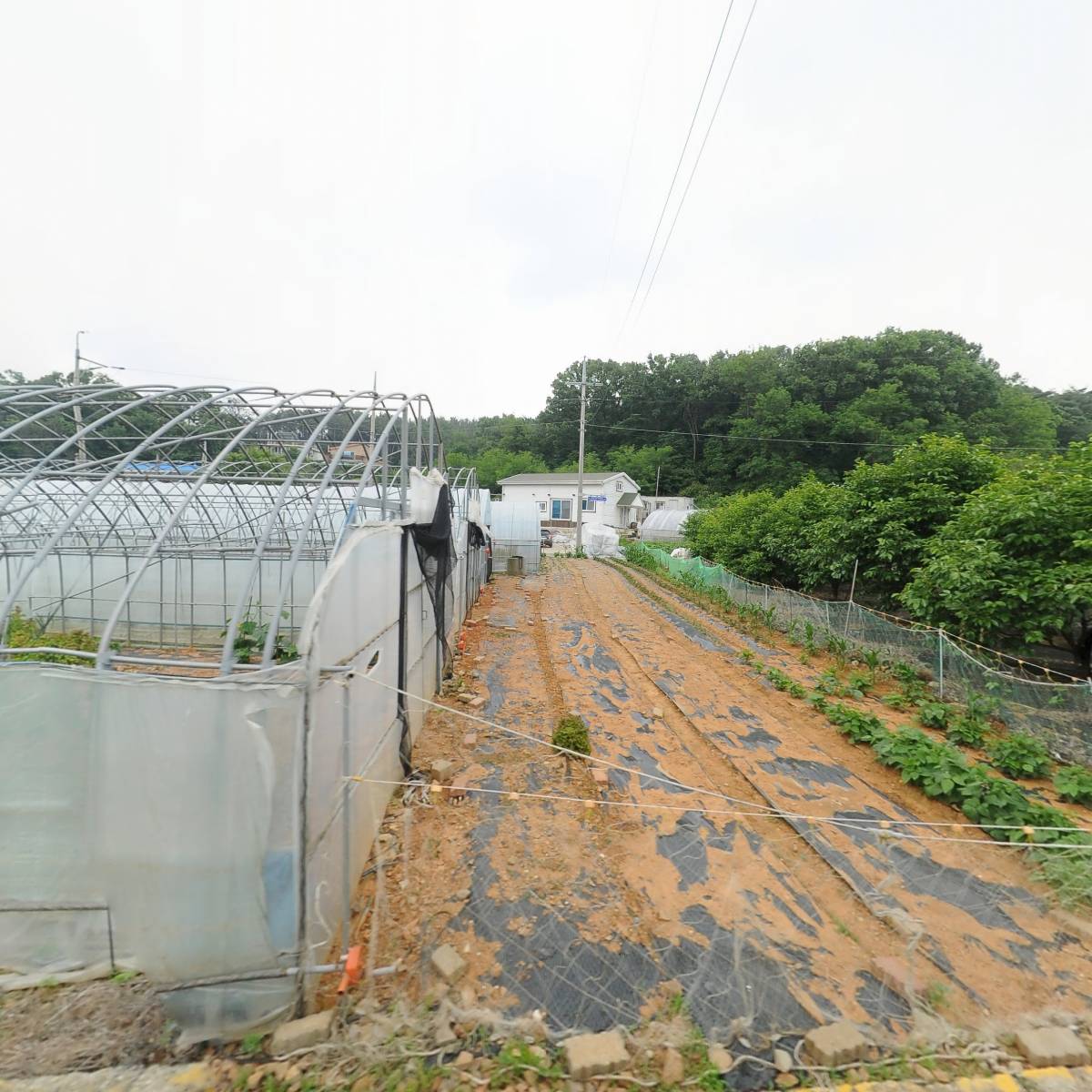 퀸스비치