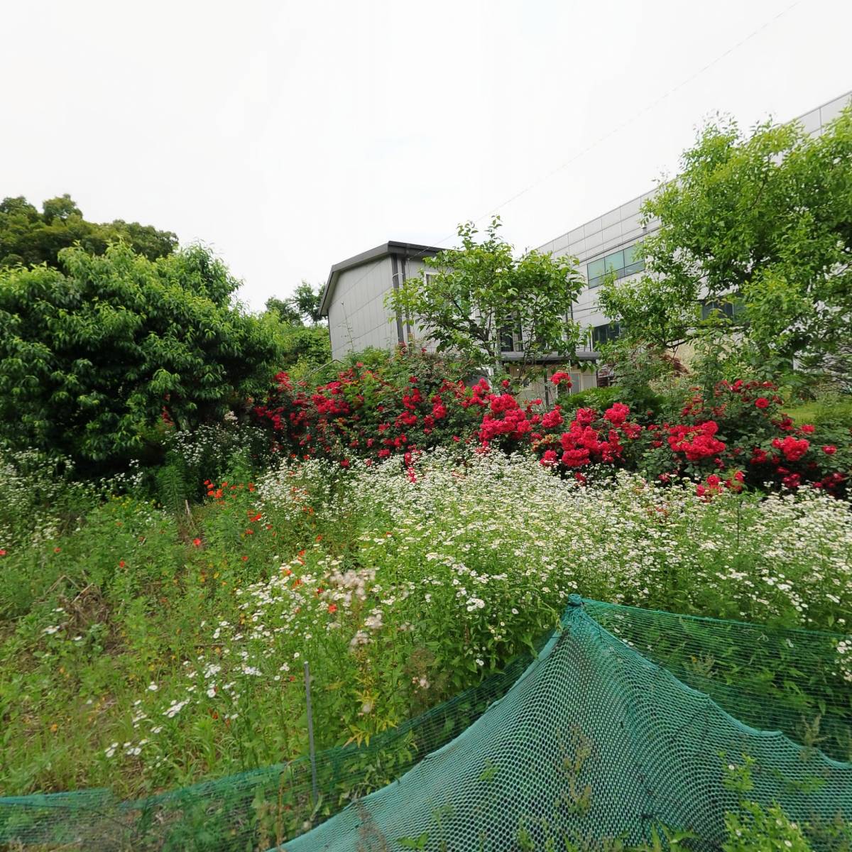 고일산업