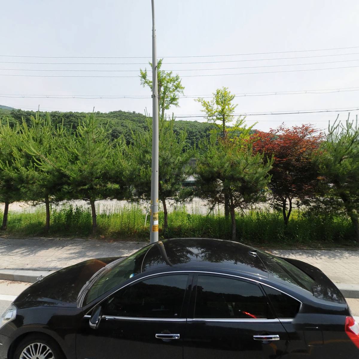 보릿골