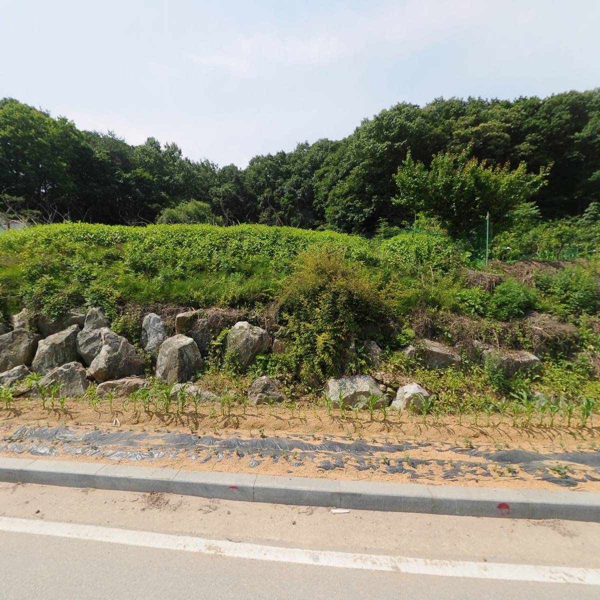보릿골_3