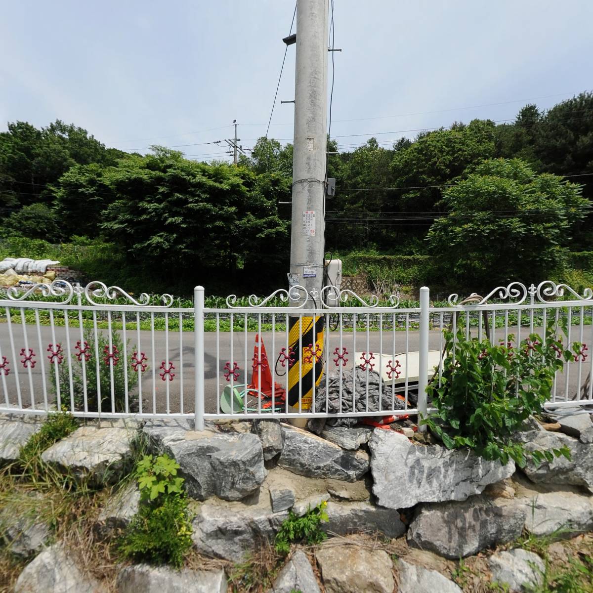 폭시즘(poxysm)