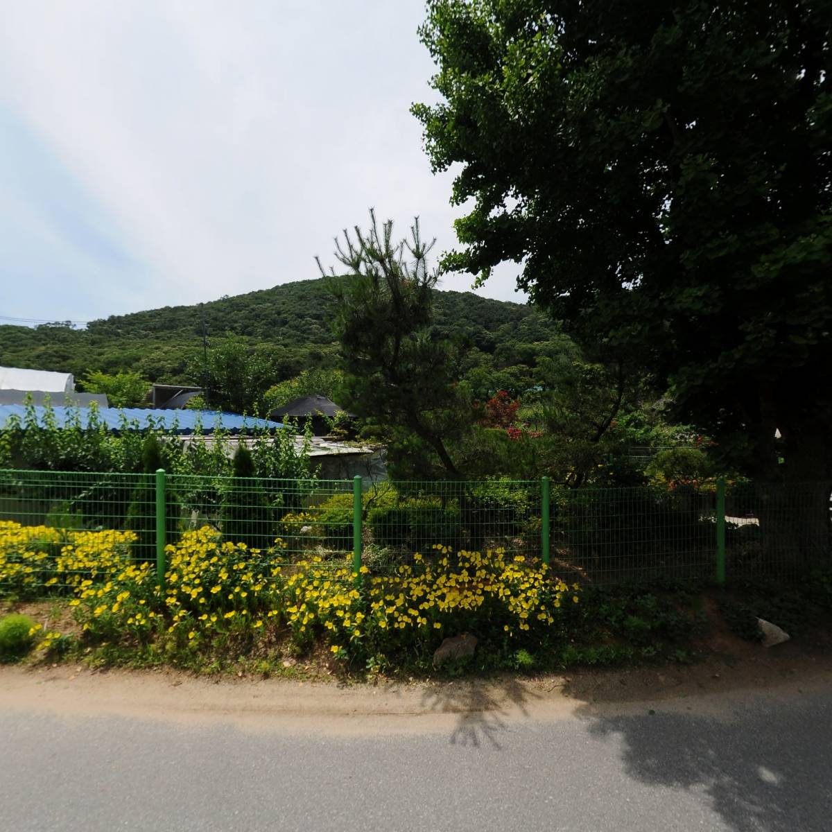 폭시즘(poxysm)_3