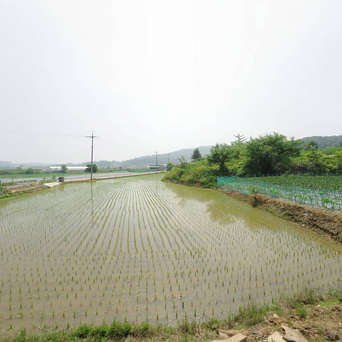 청원산업수출포장_3