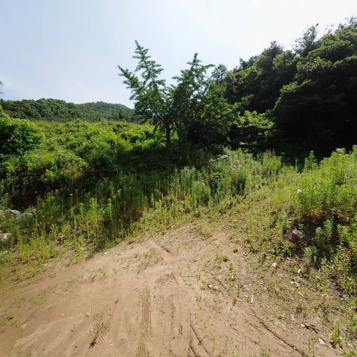 농업회사법인 팔당올가닉후드(주)