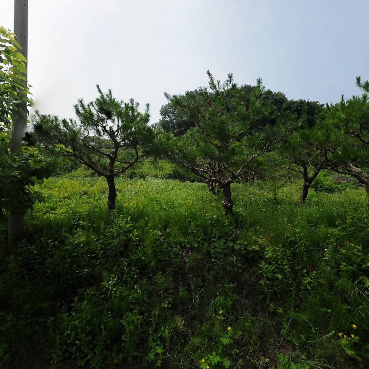산호건설_3