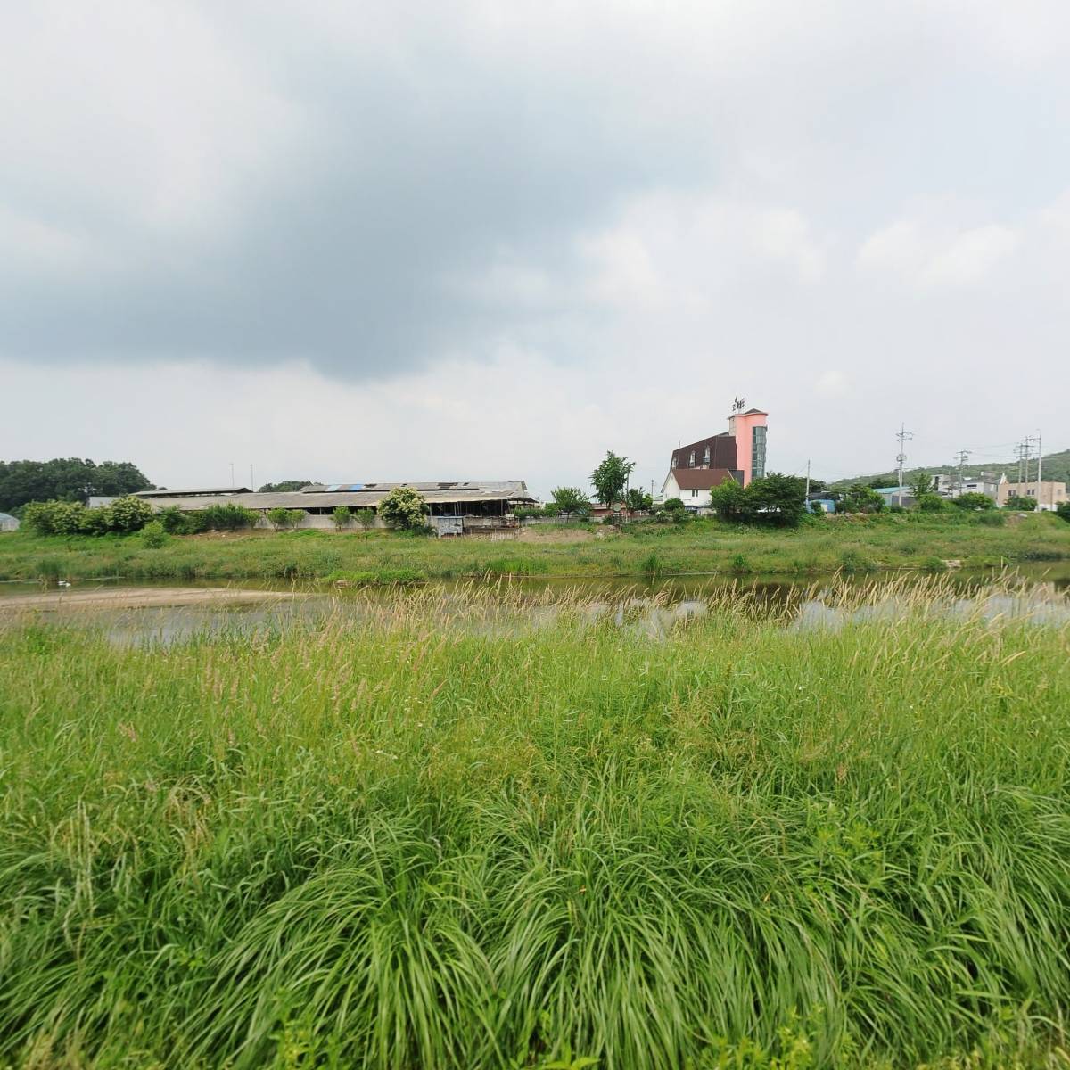 대신볼트