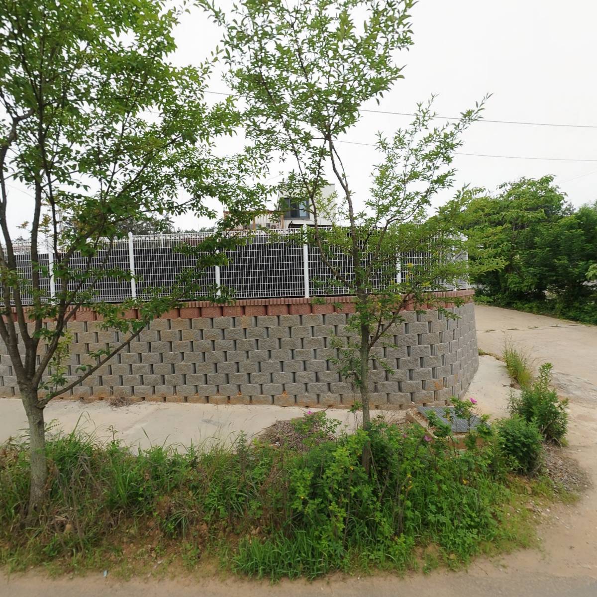 멍라밸