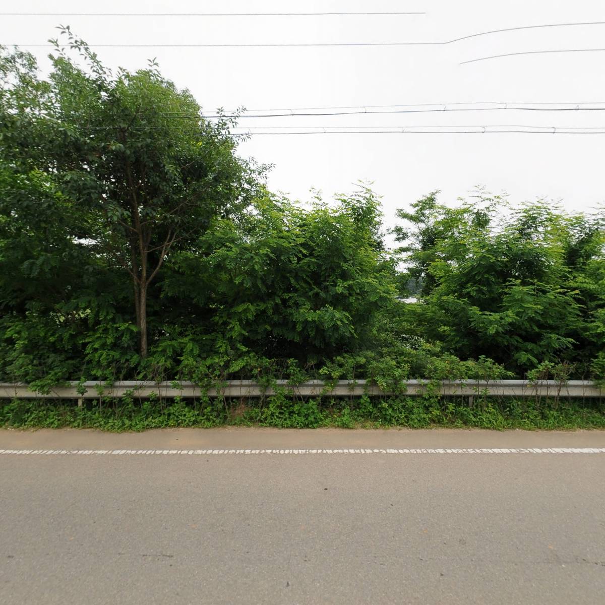 멍라밸_3