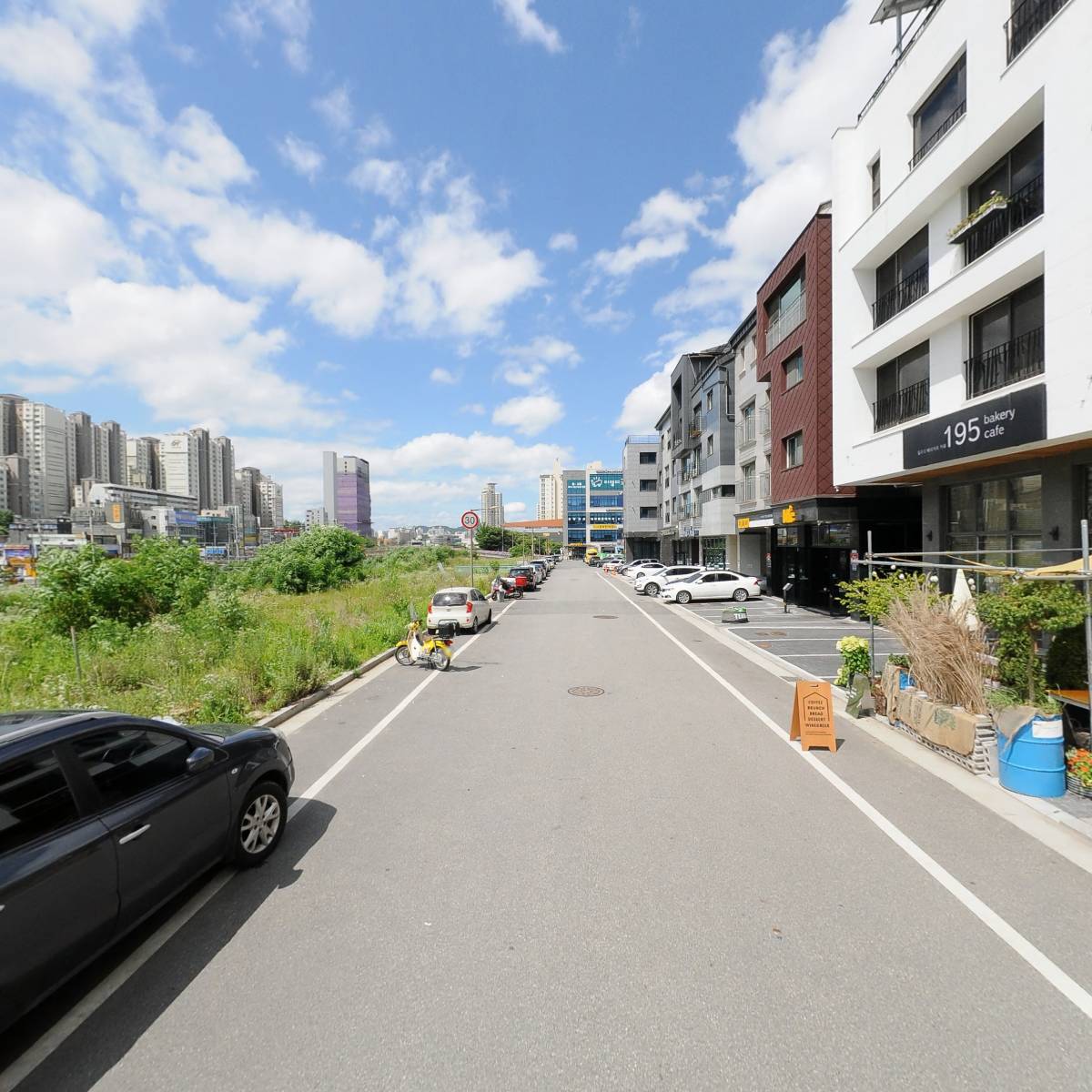 카페 식물수집가_2