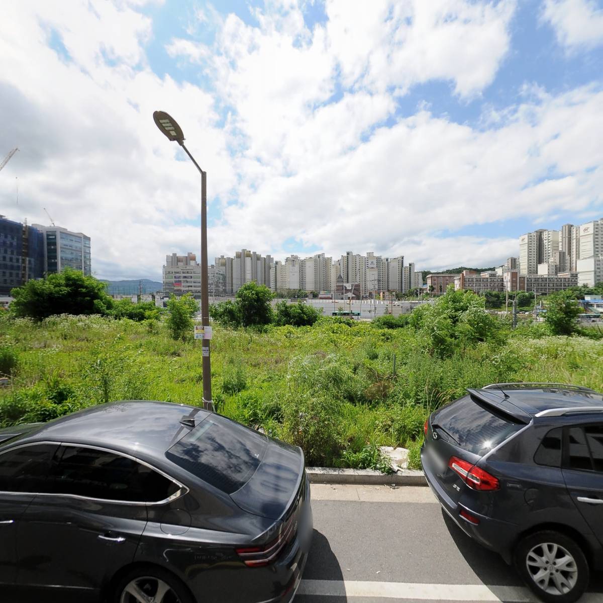 카페 식물수집가