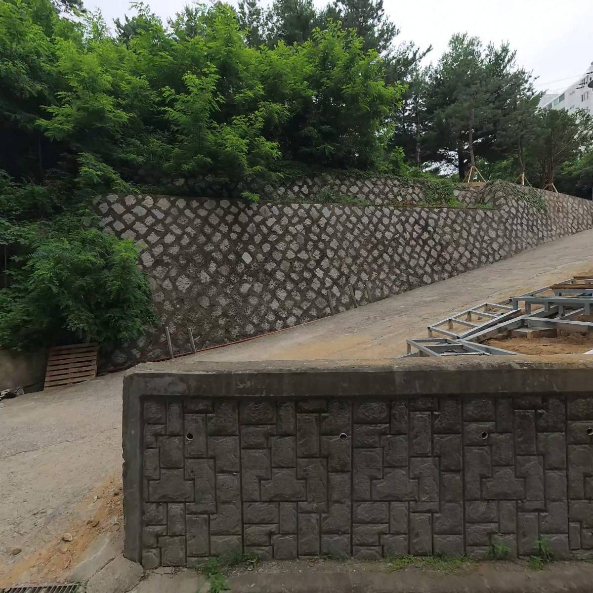 DALMORAK(달모락)